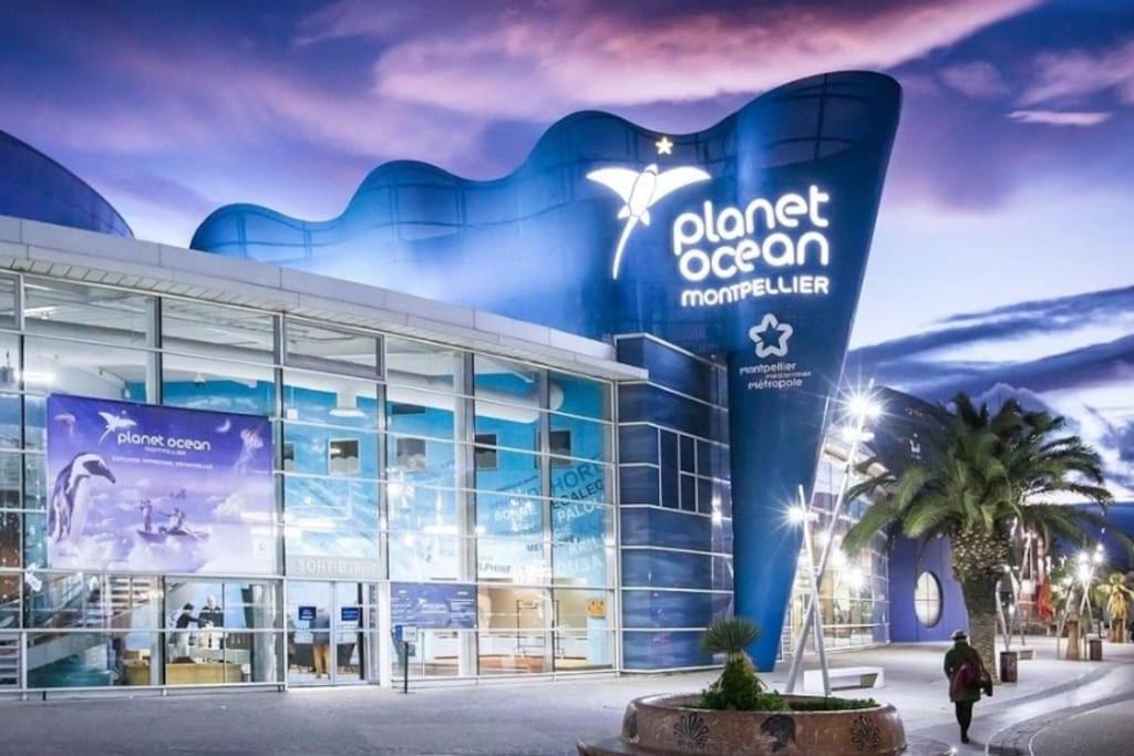 Confort Climatise Et Suite Privee En Sousplex Montpellier Luaran gambar